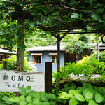 MOMO cafe - 