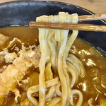 Curry Udon Wabisuke - 