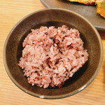 Teshio Gohan Gen Shinjuku Minamiguchi Ten - 雑穀米