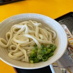 セルフうどん　とんぼ - かけ_2023年3月