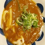 Umagena Seibu Tokorozawa Esushiten - 和風カレー（並）アップ