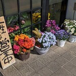 並木増田屋 - (230404)