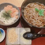 Kitamae Soba Takadaya Shinagawa Konan Guchi Ten - さけそぼろ小丼と温蕎麦セット