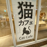 Moff animal cafe Cokosa Kumamoto Ten - ガラス張りで　十分みれます