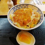 Fuji Kichi Hon Ten - カツ丼