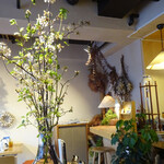 hato coffee - 