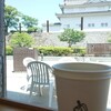 hug coffee Shizuoka Shi Rekishi Hakubutsukan Ten - 