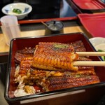 Unagi Kohinata - 