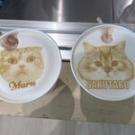 Cat Café MOFF - 