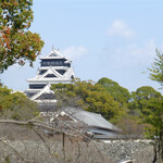 Fukuda Nojo Sakura No Koji Ten - 