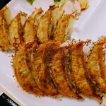 Terada Sanchi no Sukoyaka Gyoza - 令和5年6月
                        餃子定食 800円
                        寺田さんちの健やか餃子10個、寺田さんちの健やかチキン50g、味付けザーサイ、卵スープ、ご飯約160g 642kcal