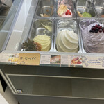 Tomakomai Gelato Shop Filicia - 