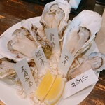 OYSTERBAR SHELL&SHRIMP - 