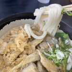 Tenmori Udon Wakazono Ten - 