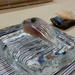 Sushi Bito Sakai - 