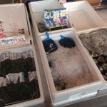 Sugawara Sengyo Sakata Seafood Ichiba Honpo - 店内の様子