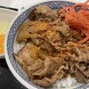 Yoshinoya Sagamionoekimaeten - 至高にして原点。