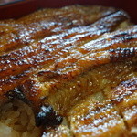 Unagi Kappou Riki - 