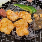 Yakiniku Seiki - ∠(　˙-˙ )／ホルモン焼き焼き