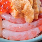 さわ - お食事処 さわ 「海鮮丼」