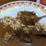 Curry House Spicy Aporo Ten - 