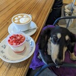 Deco’s Dog Cafe - 