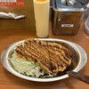 Go Go Curry Odawara Chuo Dori Ten - ロースカツカレー小盛（キャベツ大盛）＋辛口トッピング