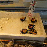 Sugawara Sengyo Sakata Seafood Ichiba Honpo - 