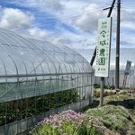 越中居酒屋 かざくら - うちの野菜は無農薬野菜は今城農園さんから