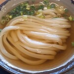 セルフうどん　とんぼ - ひやかけ小250円(税込)