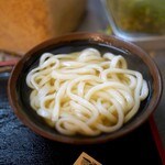 Udon Dokoro Gotto - かけ