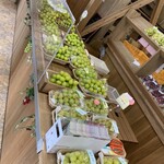 fruits farm KOGO - 