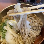 Ganso Niku Niku Udon Oohashi Ten - 