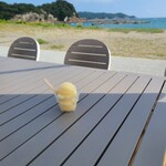 高知県立 足摺海洋館 サトウミ - 