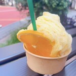 Orange Iru - 