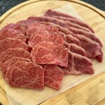 Diamond Yatsugatake Bijutsukan Society - 牛肉