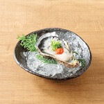 Freshly caught oysters with grated Oyster radish and ponzu sauce (1 oyster)