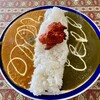 アガン - 料理写真:Wカレー　ほうれん草とキーマカレー