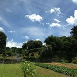 Soba Dokoro Ishidatami Mura - 店内からの眺め　雲が目前を横切る