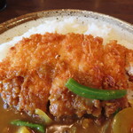 Curry House CoCo Ichibanya Misutamakkusu Yanai Ten - 2023年の｢とんかつ｣481円