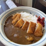 サギタリュウス - カツカレー