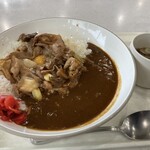 Yoyogi no Mori - 豚すきカレー