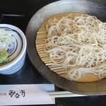 みな方 - 料理写真:十割せいろそば