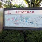 Budou no Oka Chika Wine Cave - 