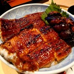 Unagi no Kanemitsu Higashi Okazaki Ten - 肉厚です。