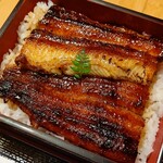 Unagi Nanatsuboshi - 