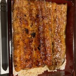 Unagi Ogura Dogo Ten - 