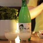 韓国居酒屋・経堂プッチョン - 