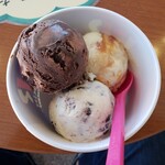 Thirty-One Ice Cream Matsumoto Minamimatsumoto Ten - 