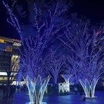 Fukuoka Christmas Market HAKATA - 